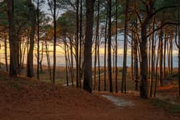 Wander Cape Charles