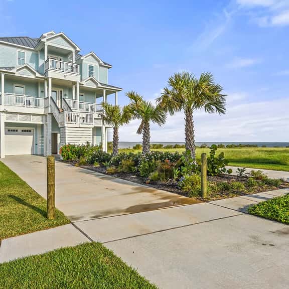 Wander Galveston Primrose - Image 1