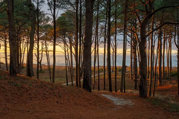 Wander Cape Charles
