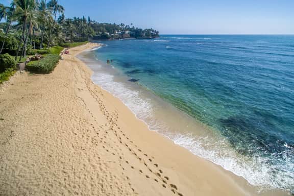 Wander Honolulu Breeze